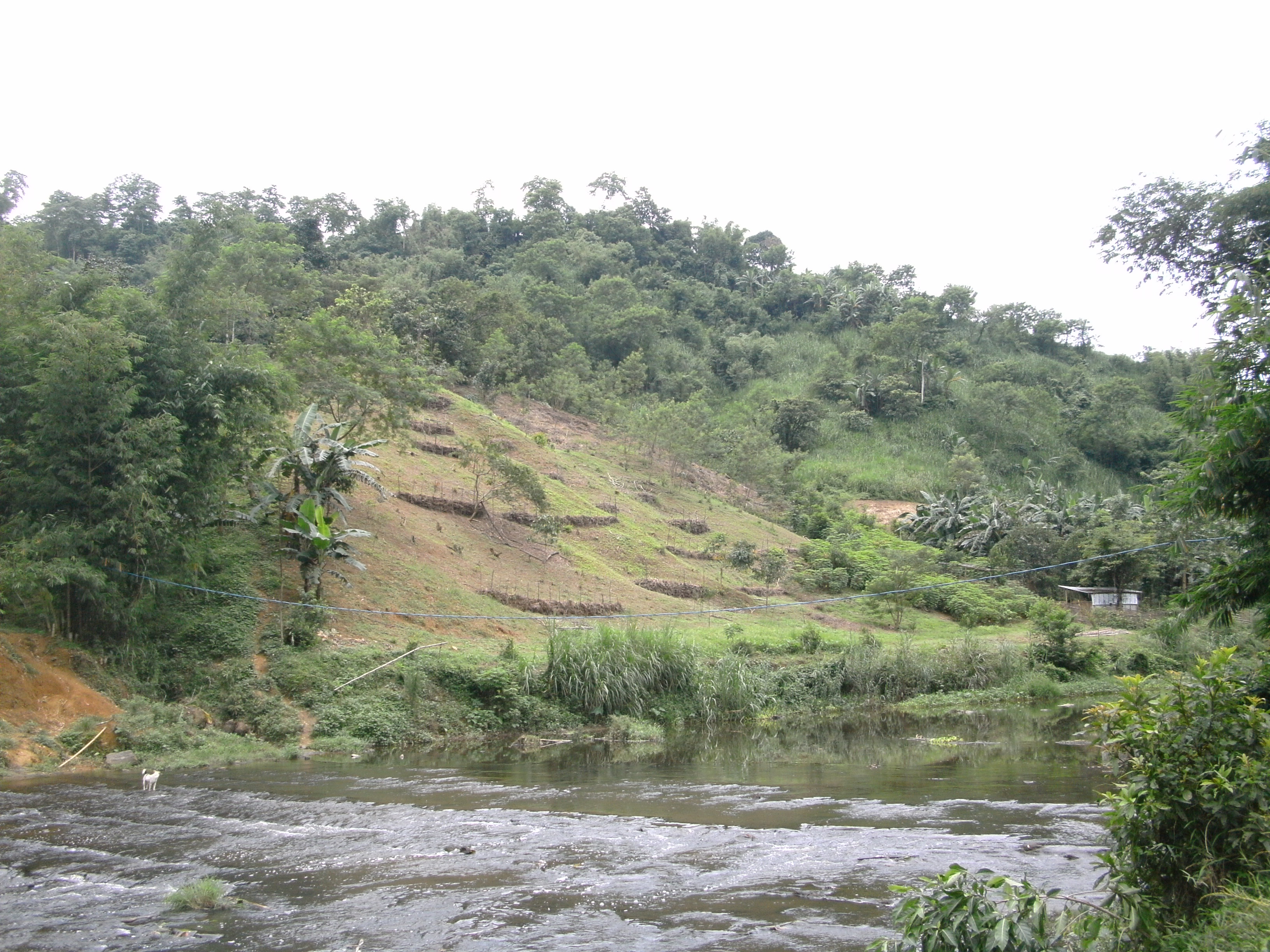 Lagahit-Ariola's Farm - Antipolo