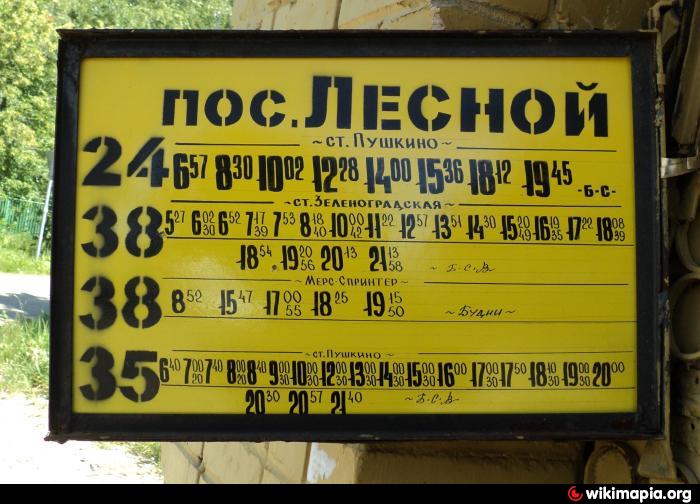 Расписание автобусов 24 пушкино лесной