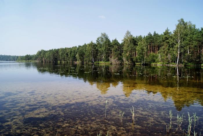 Озеро малое турали фото