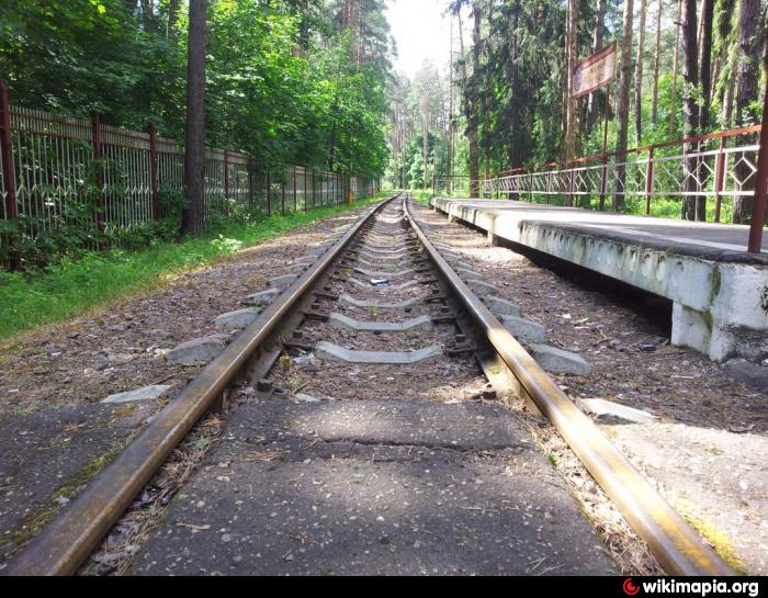 Жуковский железная дорога. Детская железная дорога Жуковский.