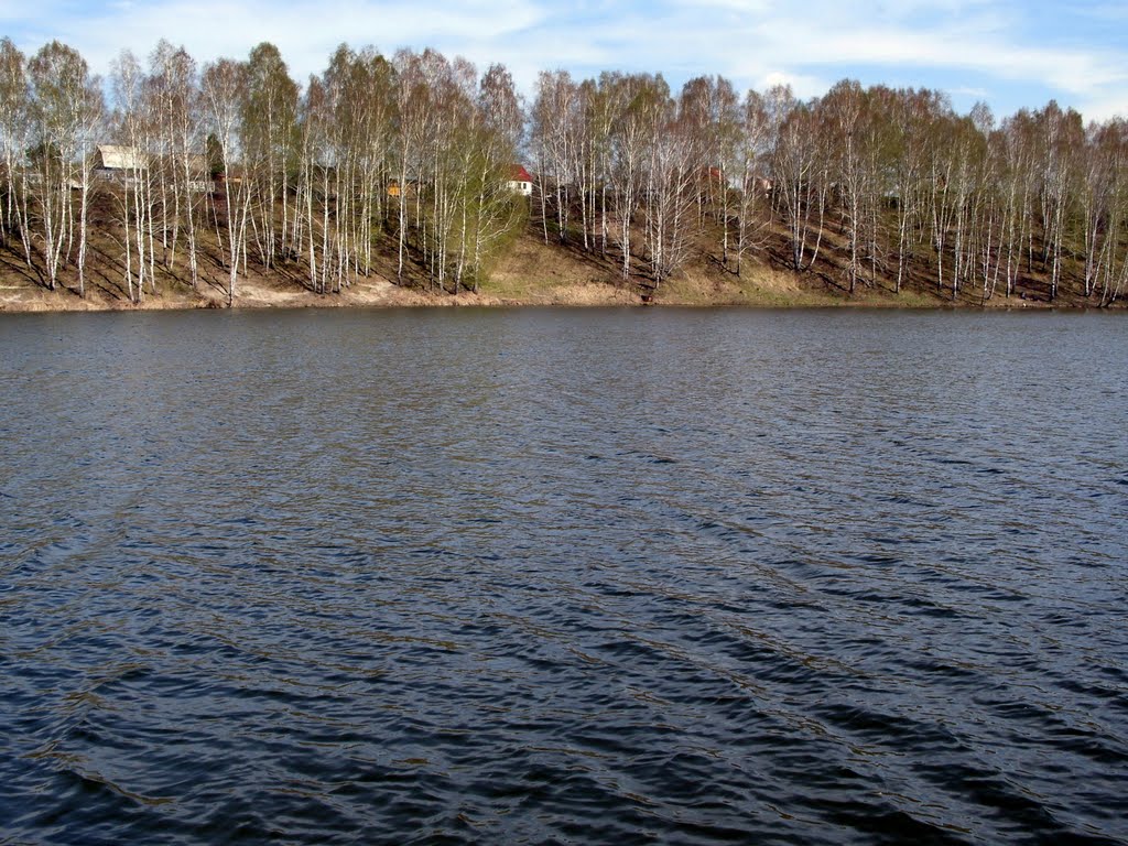 река пашенка новосибирская область. приток реки пашенка нсо. река пашенка в новосибирске. озеро мочище новосибирск. пашенка.