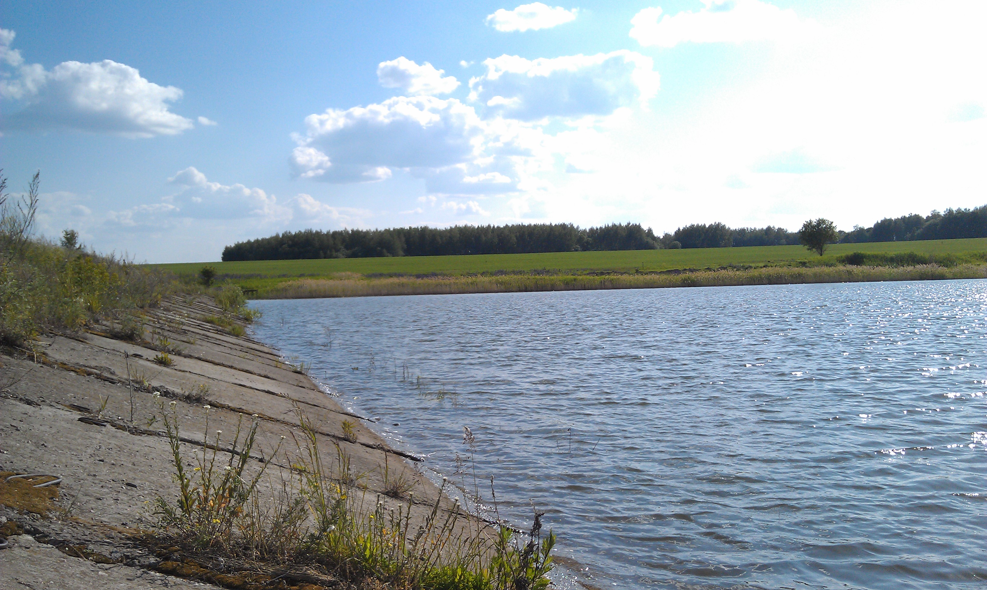Пруд верх. Пруд верх. Верхнее и нижнее озеро калининград. Ургинский пруд в талице в свердловской области. Калининград водоемы.
