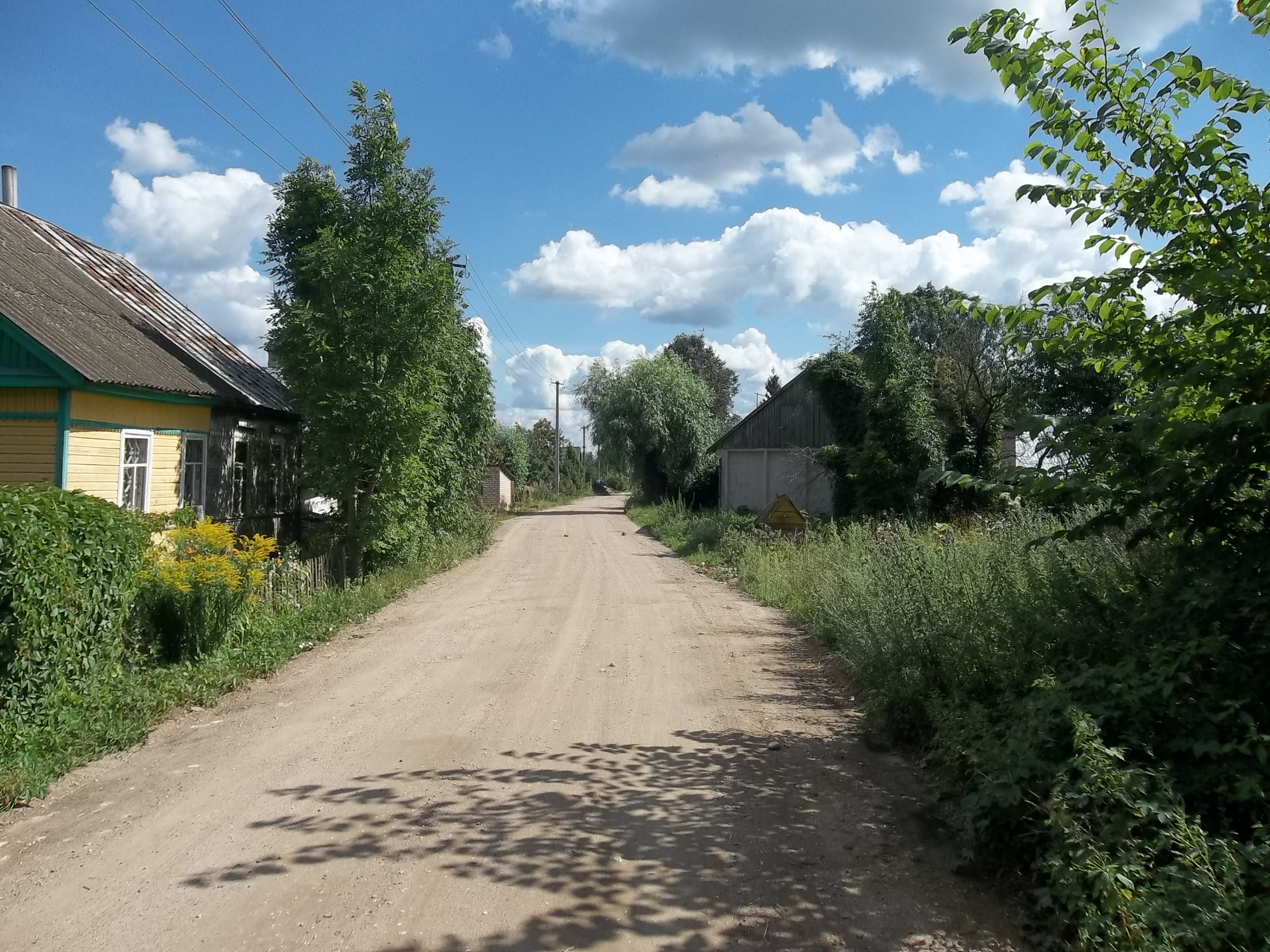 100 деревень. Портянниково Псков. Деревня Портянниково Псков. Звенковичи Псковская область. Писковичская волость Псковского района.