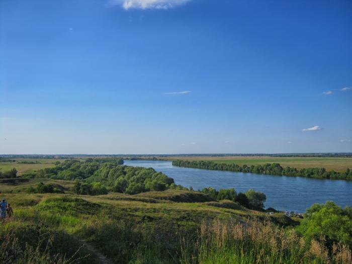 Алпатьево рязань. Деревня Алпатьево Луховицкий район. Луховицкий район Ока Алпатьево. Пляж Алпатьево Луховицкий район.