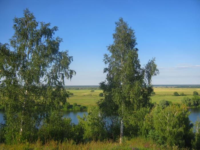 Алпатьево рязань. Алпатьево Луховицкий район. Алпатьево Луховицы. Деревня Алпатьево. Алпатьево озеро Лотошино район.