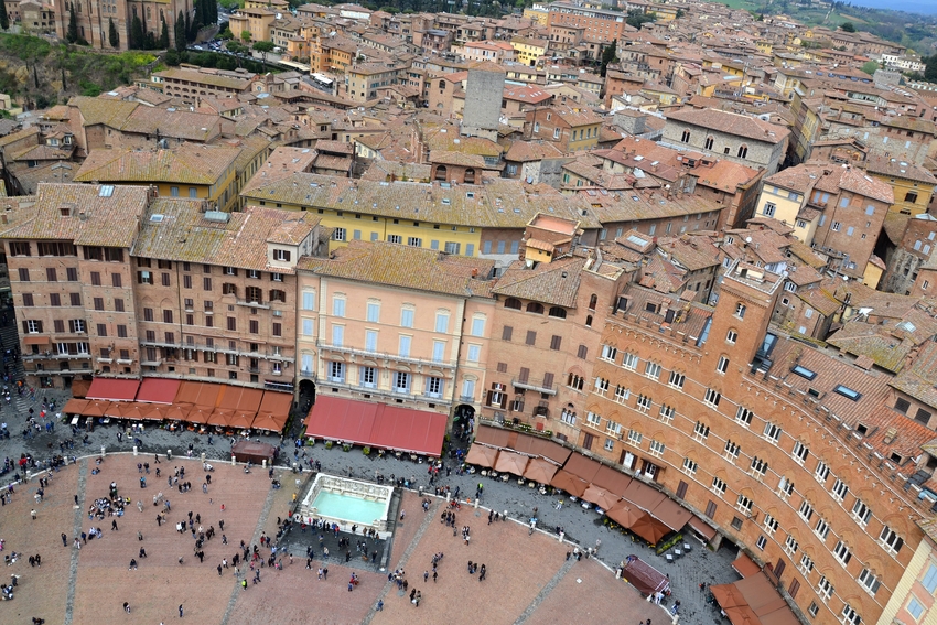 Contrada de la Civetta (Owl) - Siena