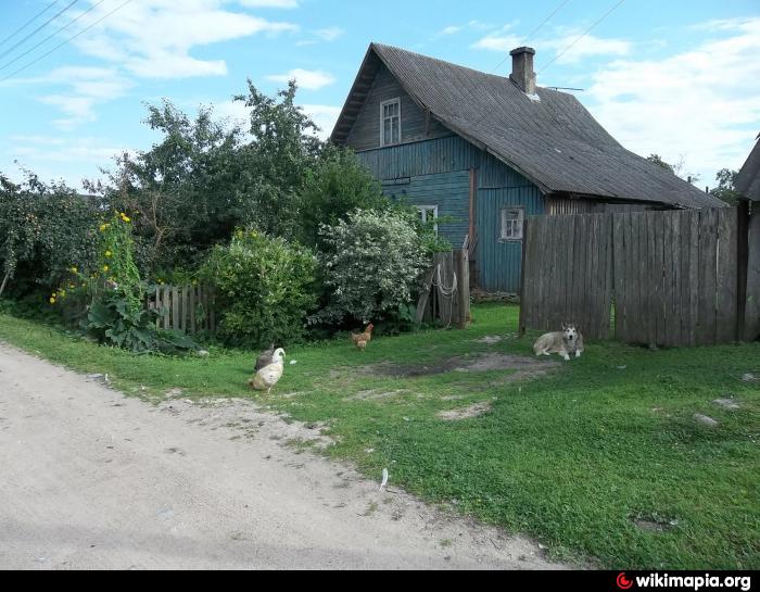 Село ивановичи. Деревня Рачево Псковская область. Деревня Рачево Печорский район. Псковская область Печорский район деревня Рачево. Рачево Тверская область.