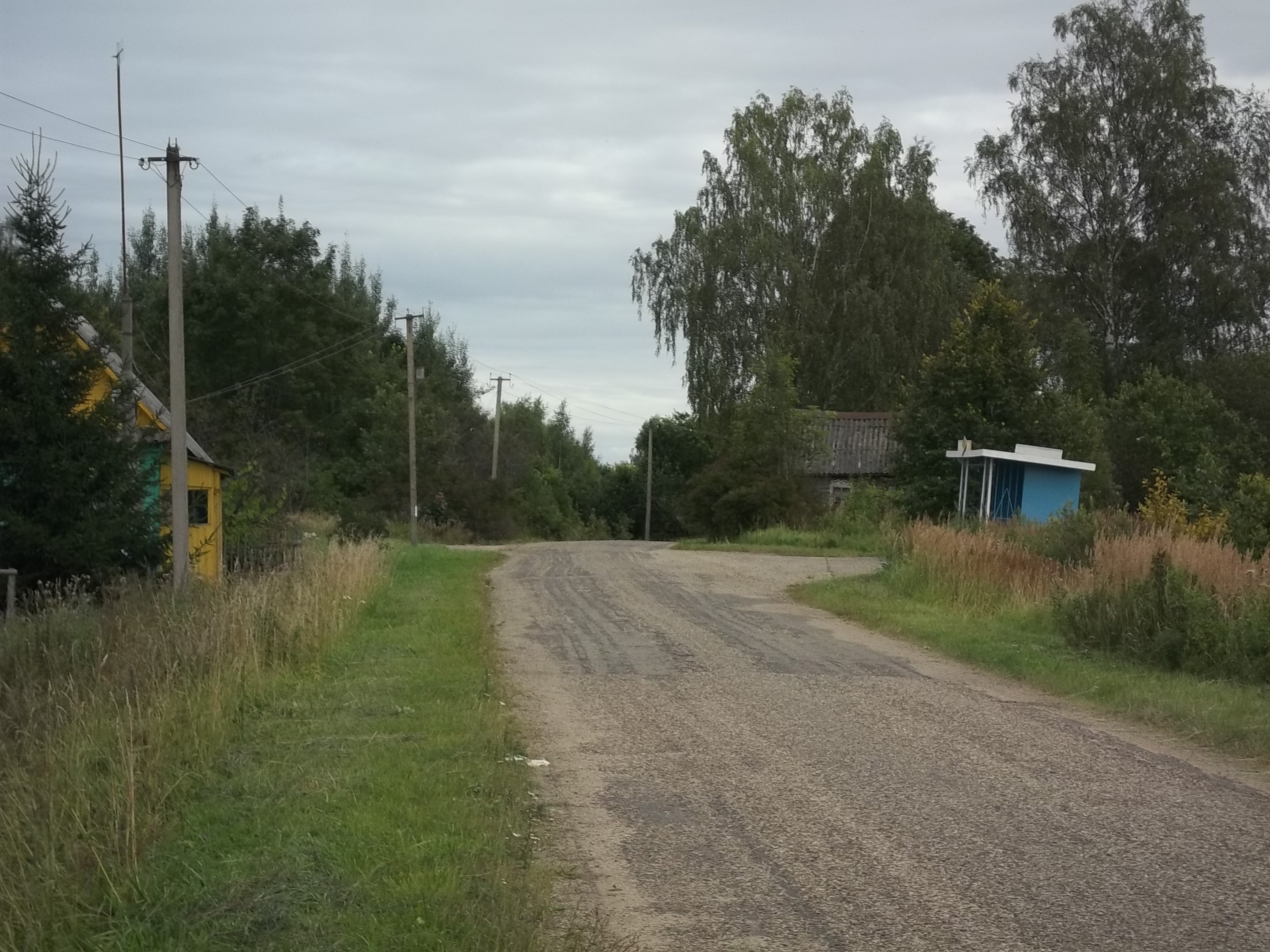 Деревня б. Карамышевская волость Псковского района. Деревня большие Невадицы Псковский район. Деревня Качан Карамышевской волости. Деревня Крякуша Псковский район Псковской обл.