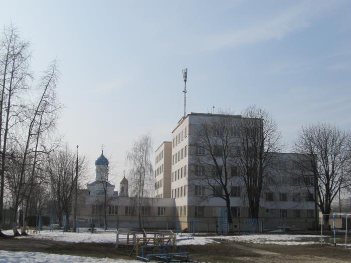 Гомельская городская центральная