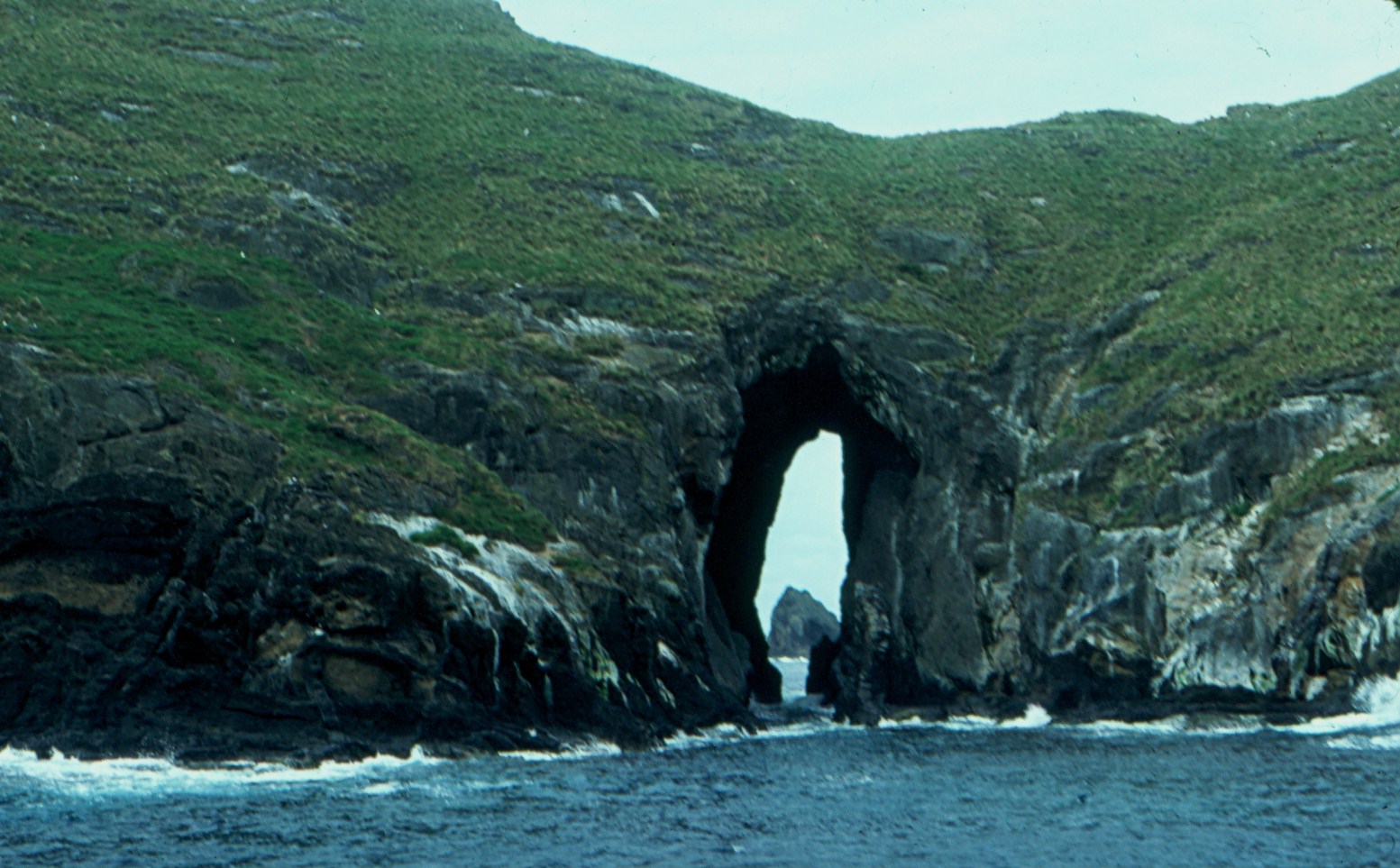 Roach Island