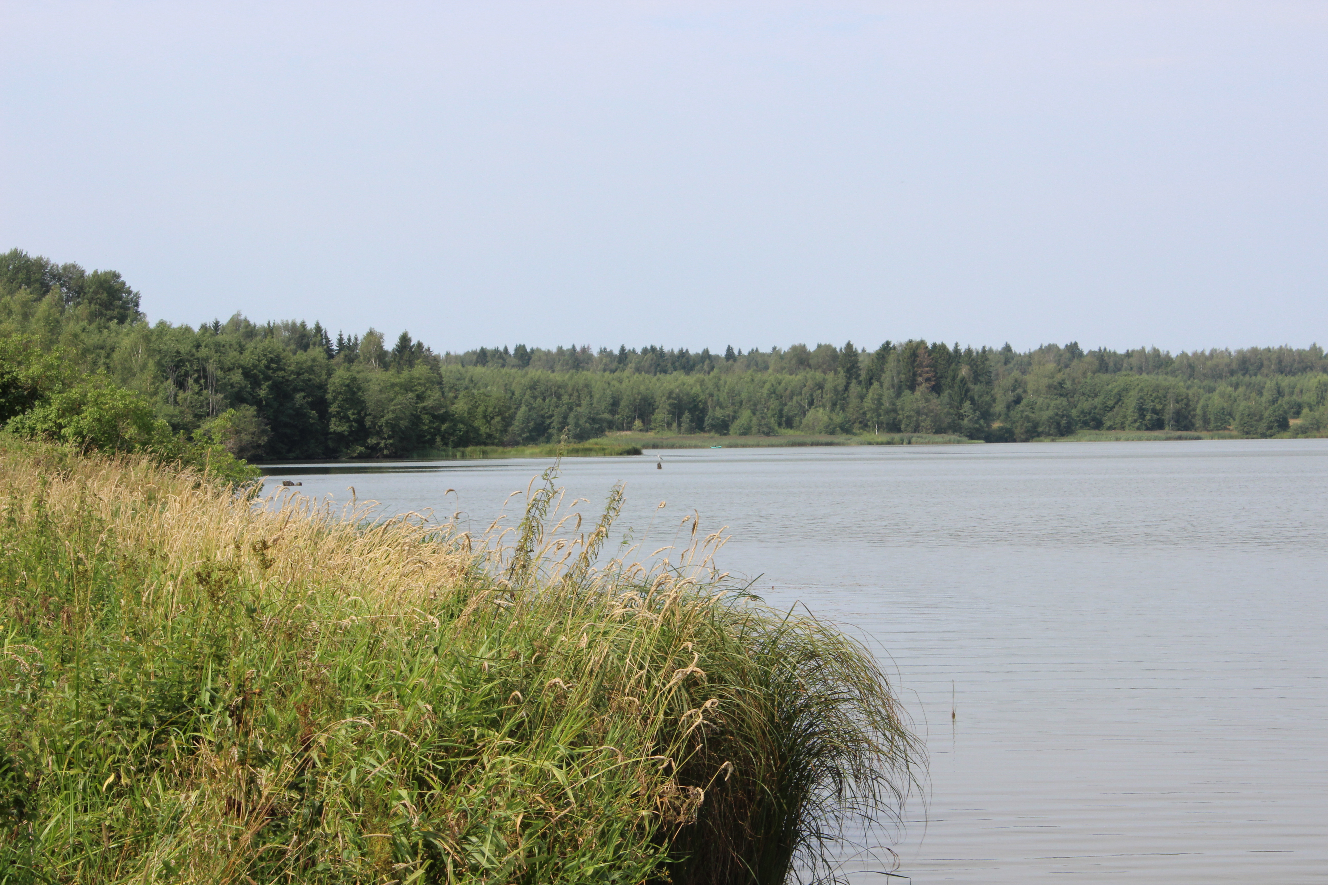 Верхнерузское водохранилище. Рузское водохранилище Шаховская.