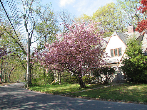 Glenwood Lake Neighborhood - New Rochelle, New York