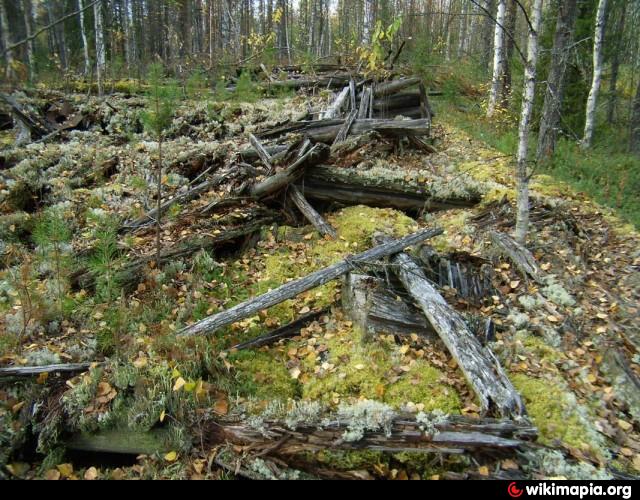 Первые 9 км. Ниашор спецпоселок. Воквад. Кладбище Пинега. Воквад Коми.