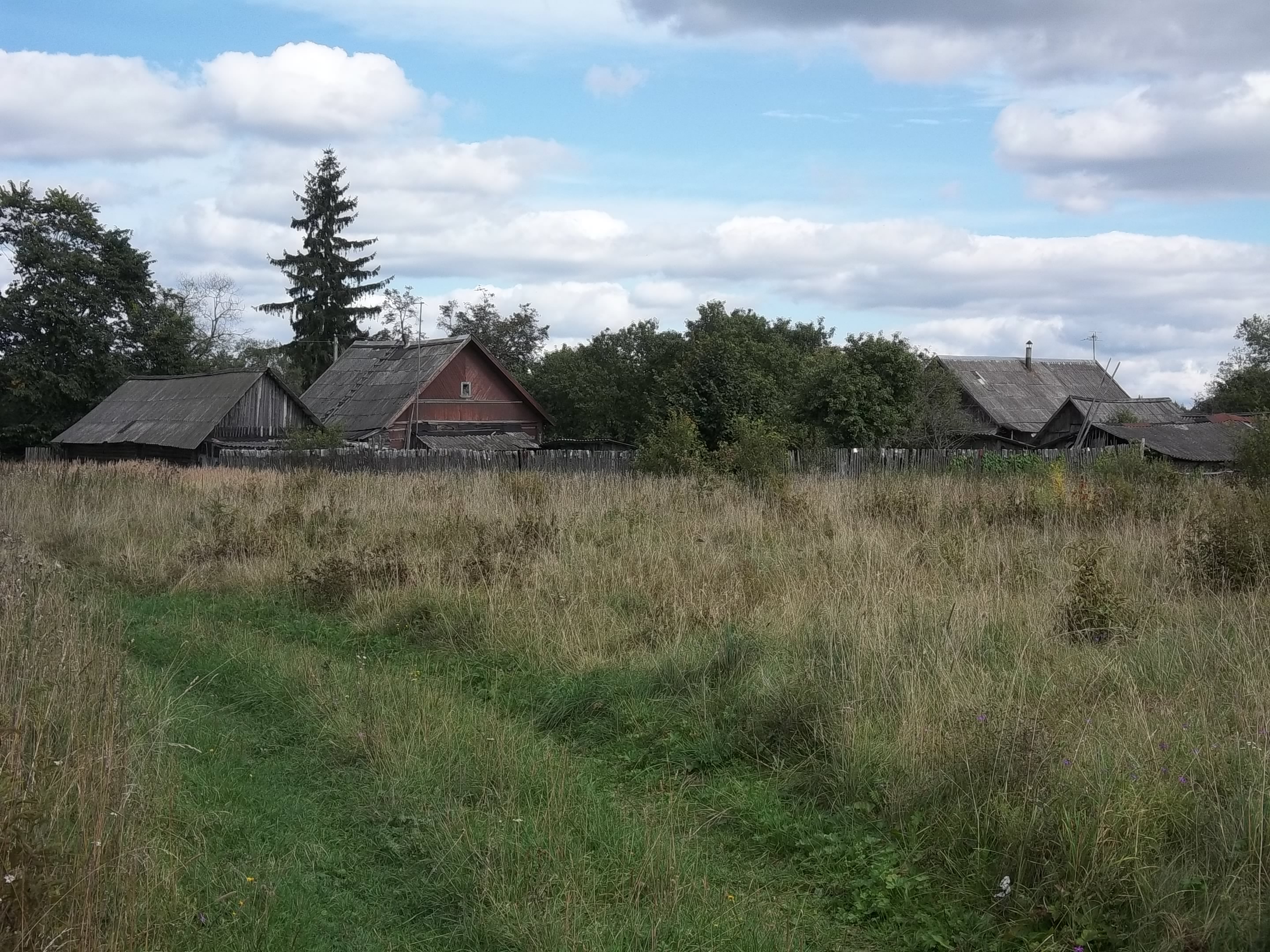 Деревня волость. Деревня Твердуново Смоленская область. Усадьба Твердуново. Деревня Твердуново Псковский район. Усадьба Твердуново Смоленская область.