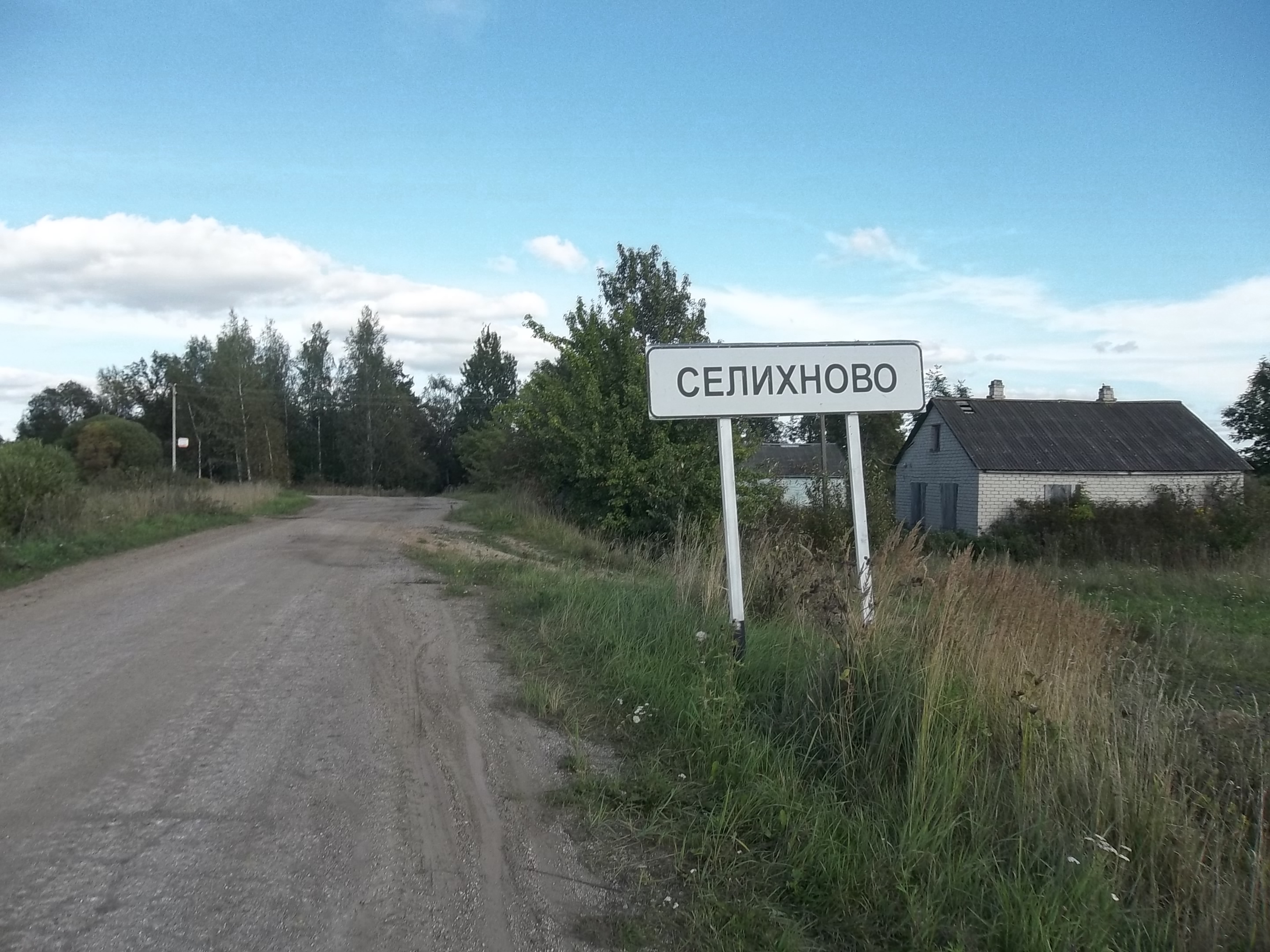 Село зашло. Деревня Селихново Псковская область. Селихново Пушкиногорский район.