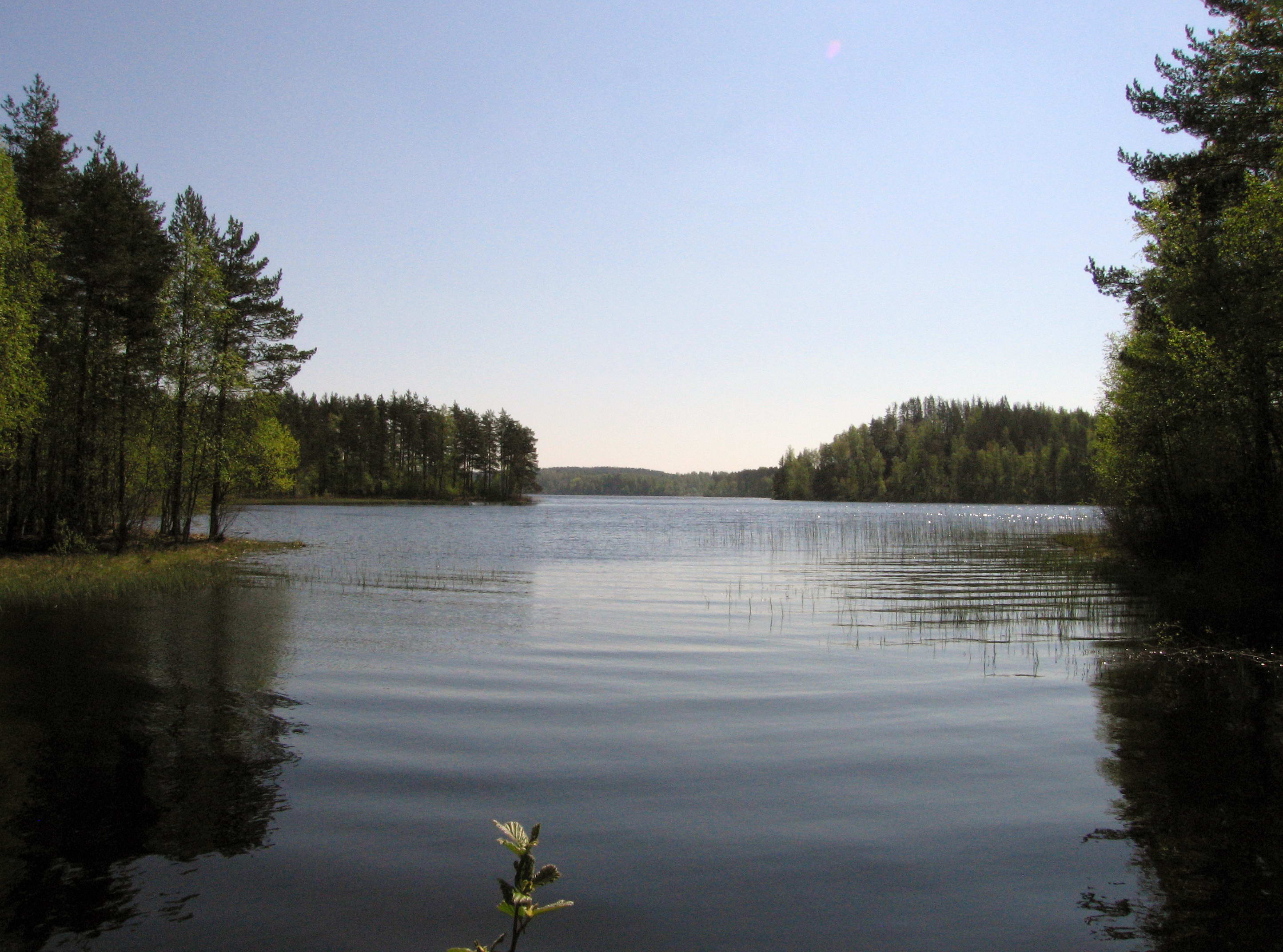 пионерское озеро ленинградская область