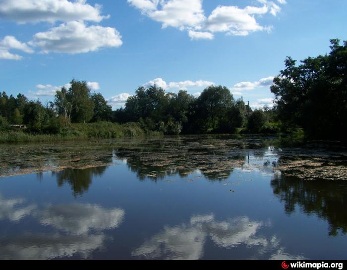 Новая рудня. Село Тхорин Житомирской области. Тхорин Овруцький район. Село Слобода Овручского района Житомирской. Овручский район село Подрудье.