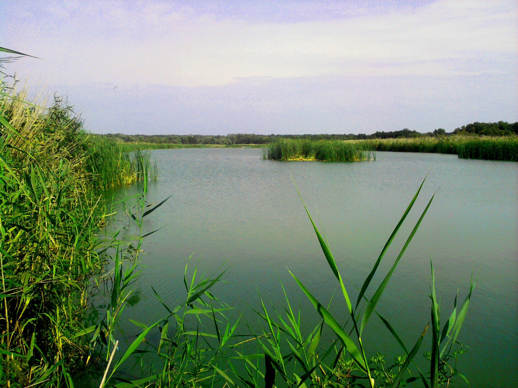 Озеро плоское Рамонь