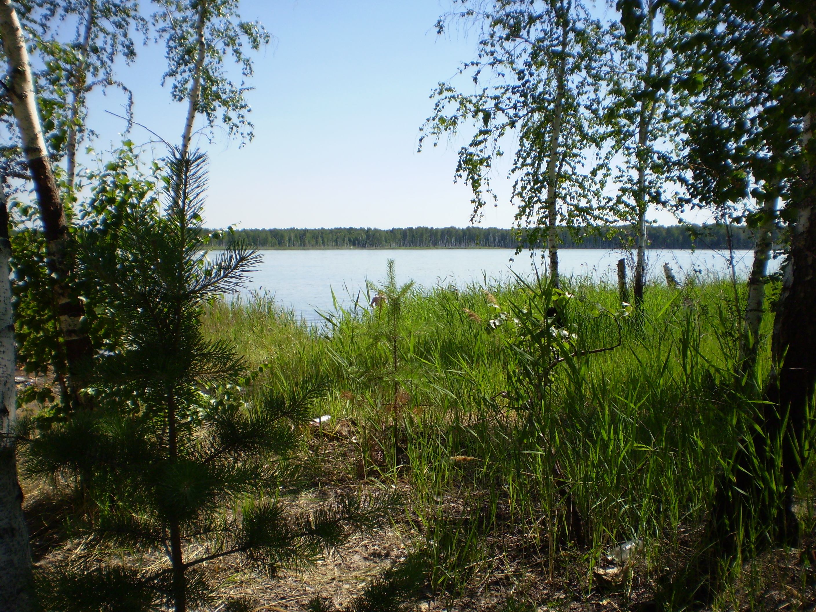 озеро селезян челябинская область
