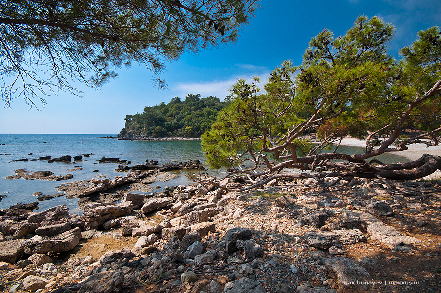 Antic Bay
