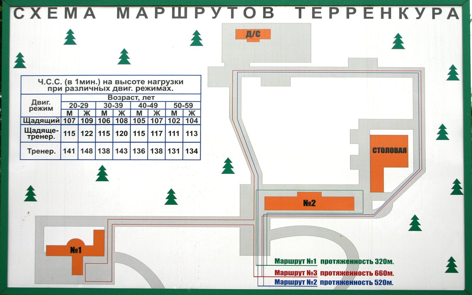 Сайт 45 больницы звенигород