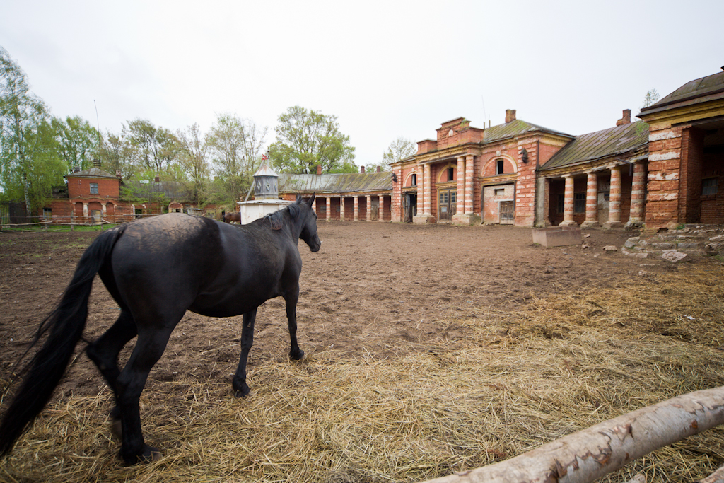 конюшня усадьба. северная усадьба спб конюшня. конюшня в деревне хмелево. солнечногорск середниково. конюшня усадьба.
