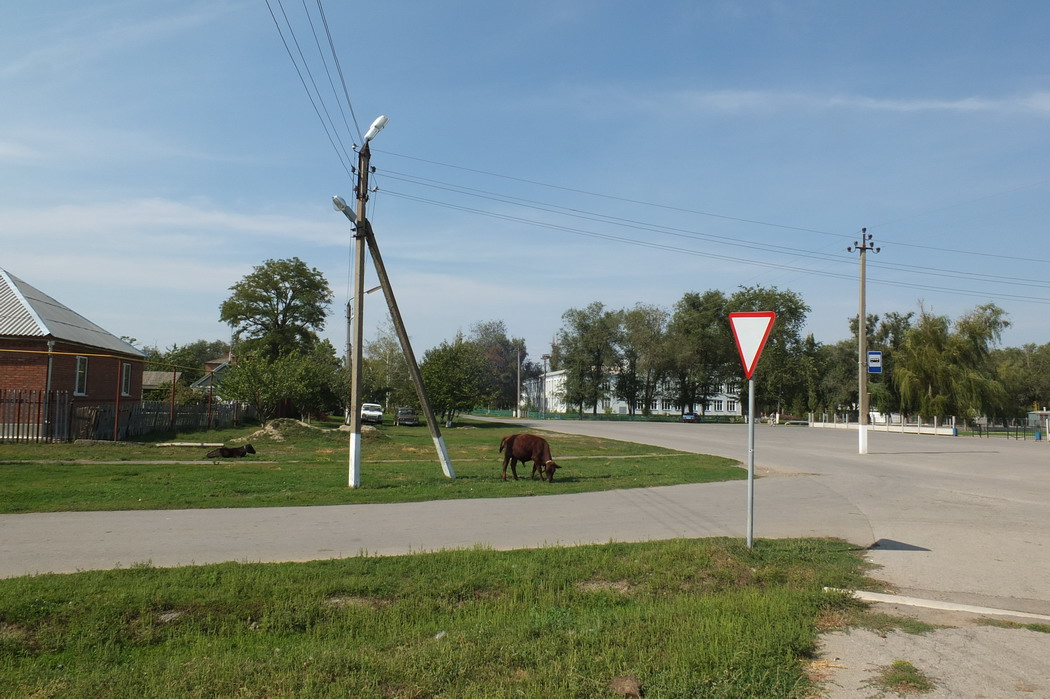 Карта крученая балка