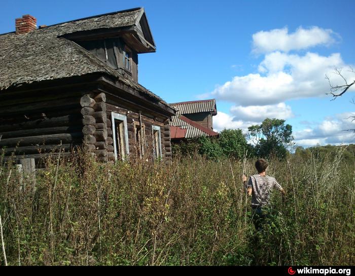 Д родней. Тверская область Старицкий район деревня Шавково. Деревня Красноселье Старицкого района Тверской. Деревня Турково Старицкий район.