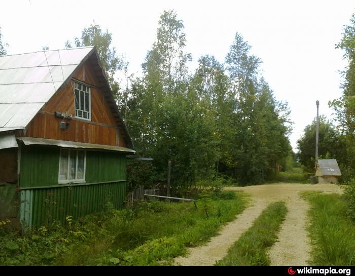 Купить Дачу В Зеленом Бору Казань