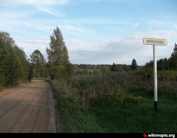 Владение в селе. Псковский район деревня Крюково. Крюково Ленинградская область. Деревня Крюково Зеленоград. Деревня Крюково Ленинградская область.