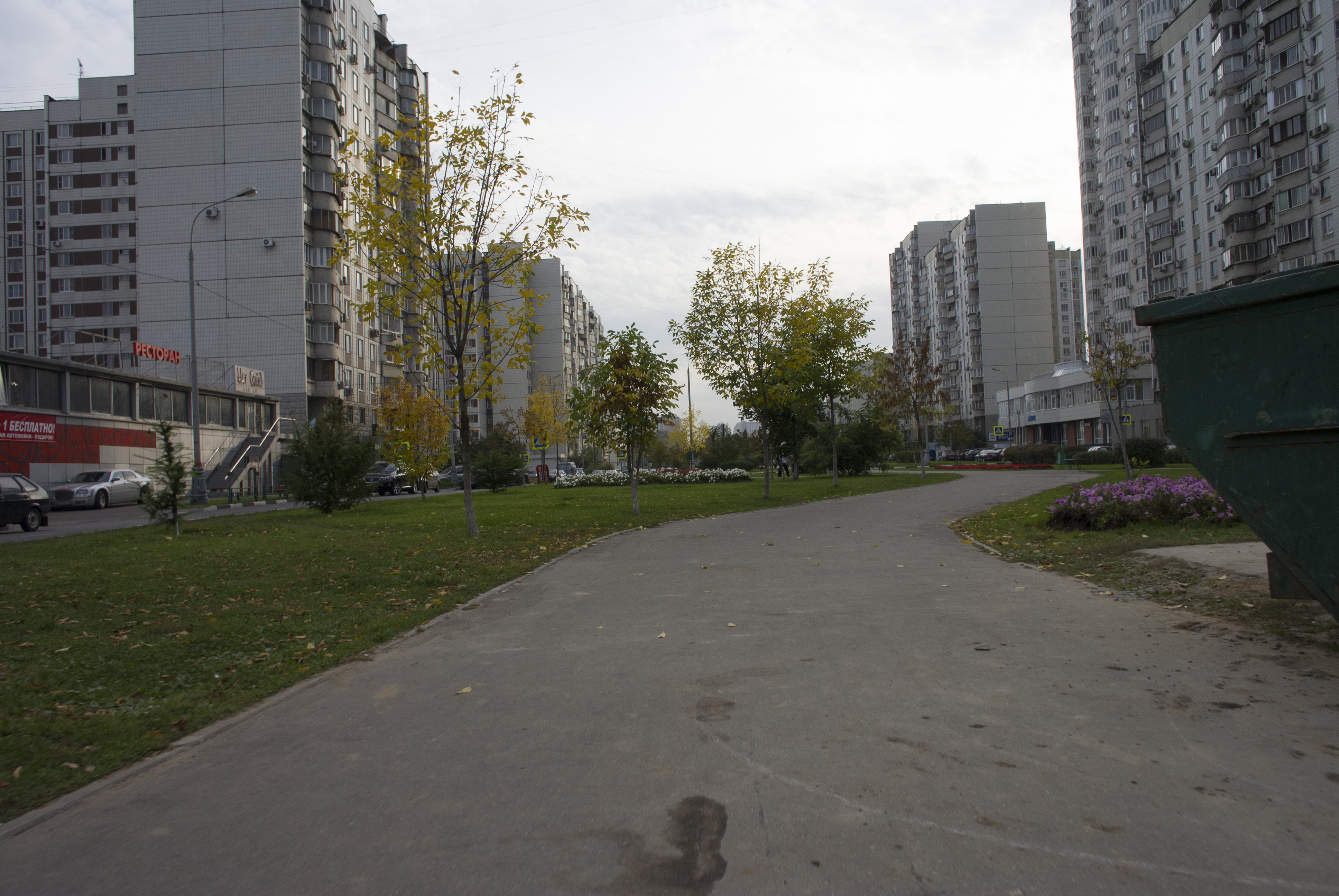 Улица новочеремушкинская москва. Аллея Новочеремушкинская. Новочеремушкинская улица фото. Новочеремушкинская улица история.