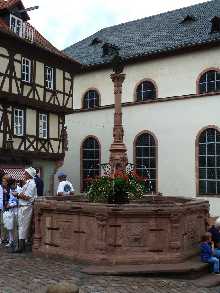 Miltenberg Town Square Fountain - Miltenberg