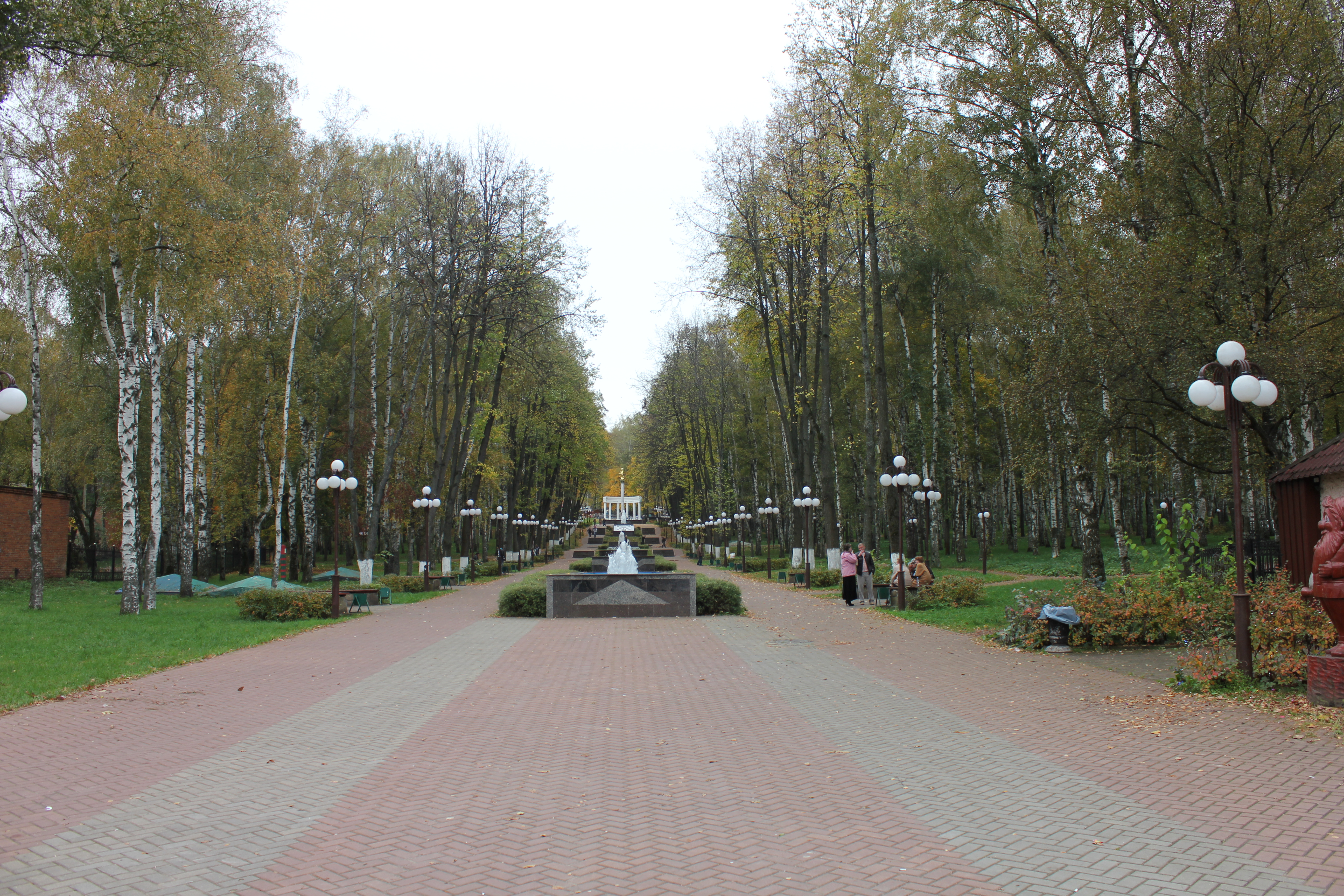 Парк 60 летия победы. Г Дмитров Московской области парк Победы. Парк Победы Новокуйбышевск. Кленовый парк в городе Дмитров Московская область. Центральная аллея парка Шинников.