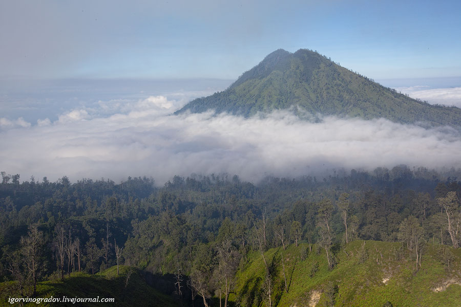 Mount Igit Mount Ijen