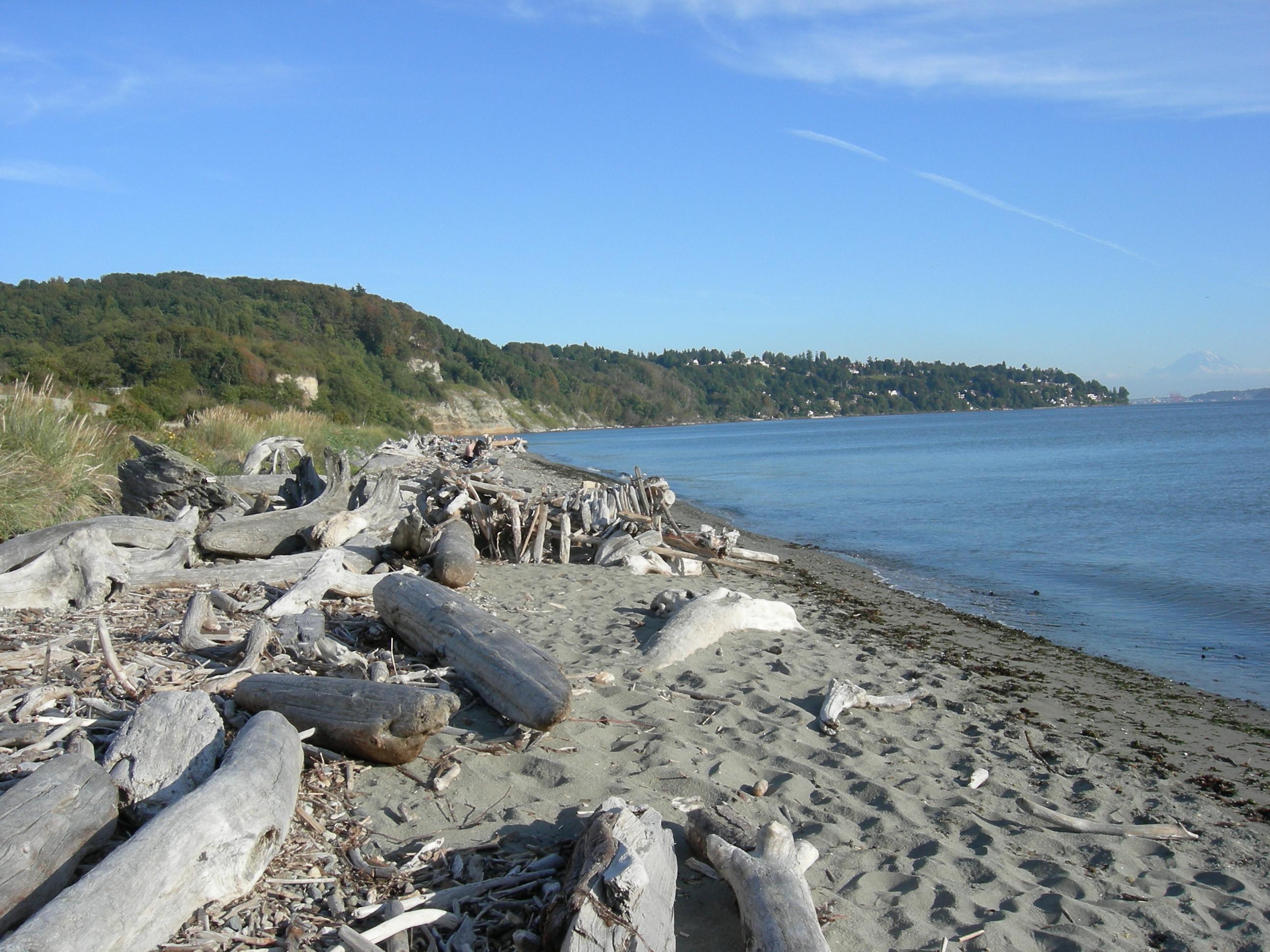 Discovery Park Seattle Washington - 30 Full