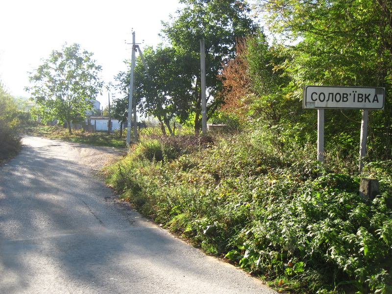 Соловьевка. Соловьёвка (Крым). Соловьевка Приморского края. Село Соловьевка. Район села соловьёвска.