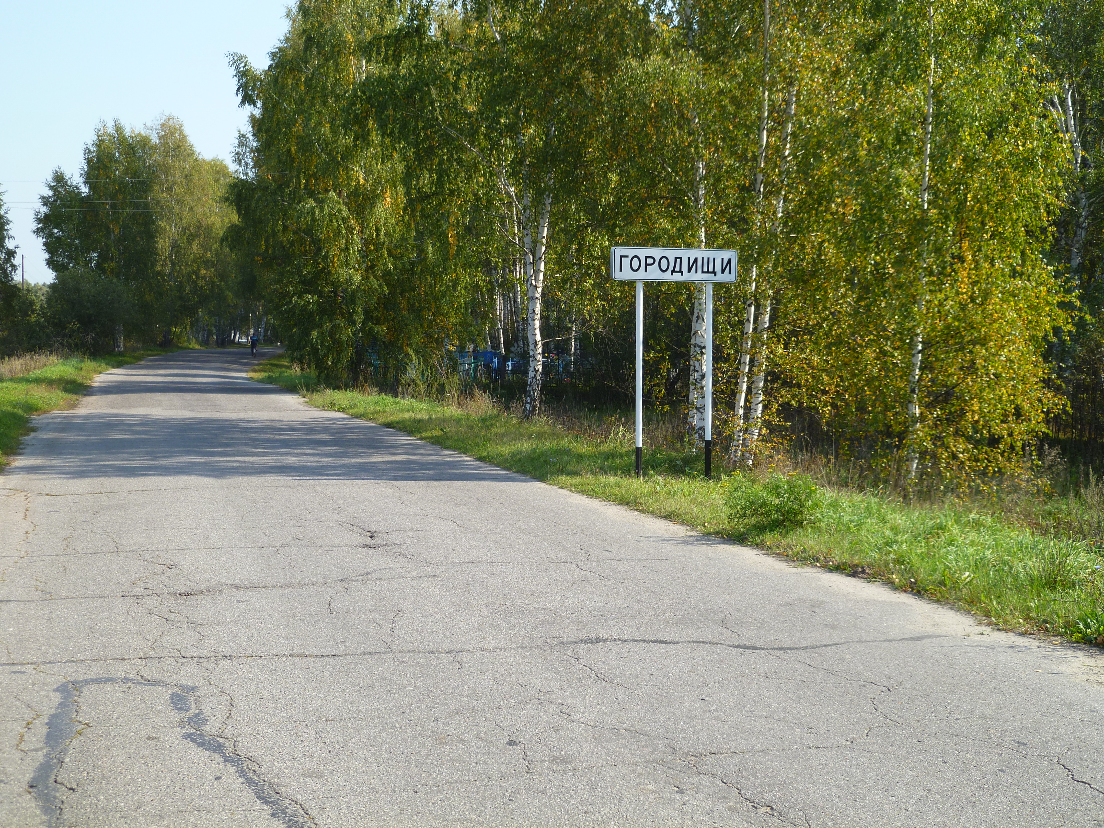 Поселок городище. Деревня Шехонка. Село Городищи Нижегородская область. Деревня Городище Борский район Нижегородская область. Поселок Бор Нижегородская область.