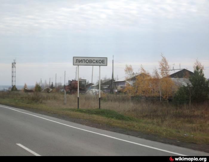 Погода в село липовское свердловская. Сайт Липовской школы туринского района. Село Липовское Свердловская. Село Липовское Туринский район. Поселок Липовское Режевской район.