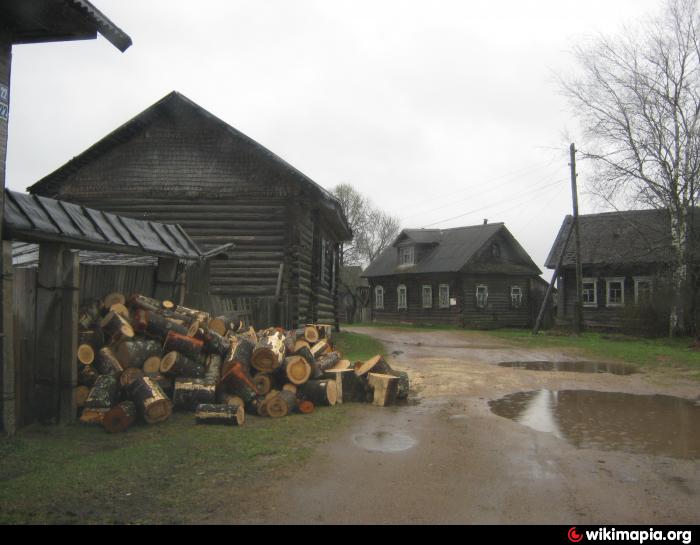 Пройти пол деревни. Деревня Мошары Пеновский район. В деревне полово Пеновского района. Деревня Павлиха Пеновский район Чайкинское поселение. Тверская область, Пеновский район, д. Мошары.