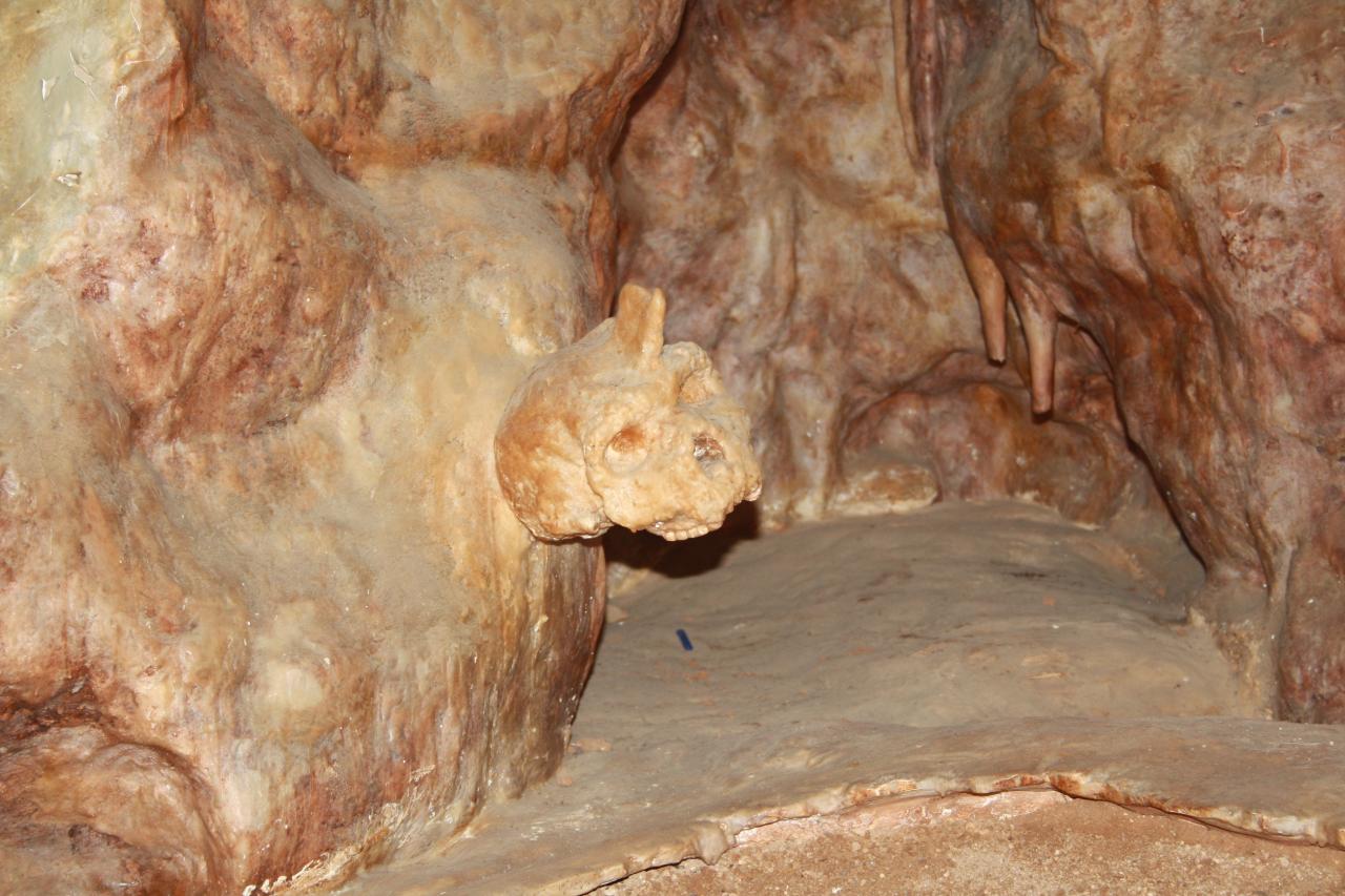 Mysterious 300,000-year-old Greek cave skull was neither human nor  Neanderthal. Researchers have dated the mysterious skull from Petralona  Cave in Greece to 300,000 years ago and concluded that the fossil belonged  to