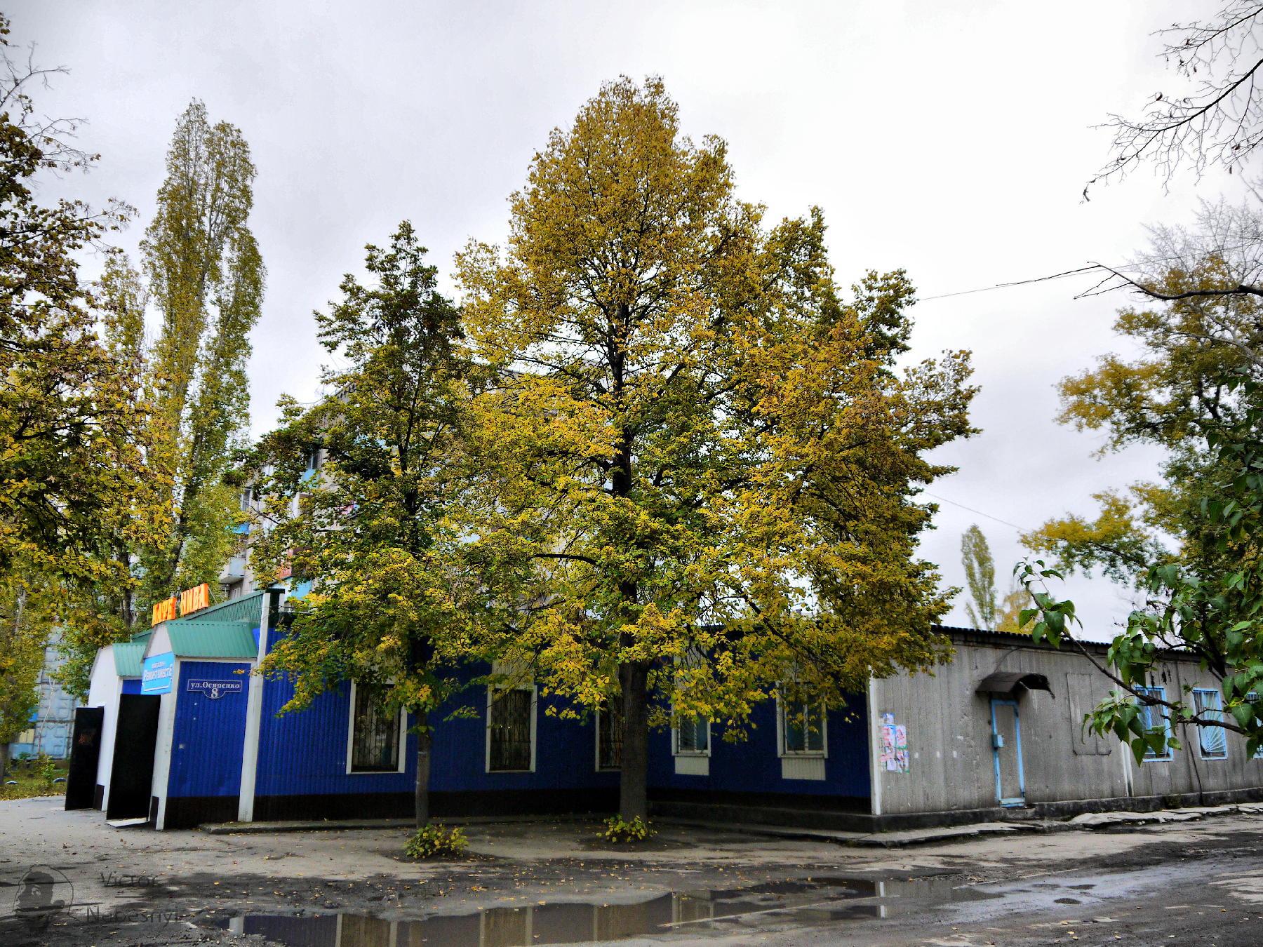 Липецк ул осипенко. Поселок осипенко барнаул. Липецк ул осипенко. Осипенко 12 липецк. Ул осипенко липецк.