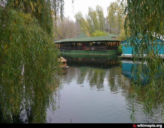 Swan lake парк горького. Кафе Лебединое озеро парк Горького. Кафе Лебединое озеро Химки. Лебединое озеро Уфа ресторан. Химки пруд Лебединое озеро.