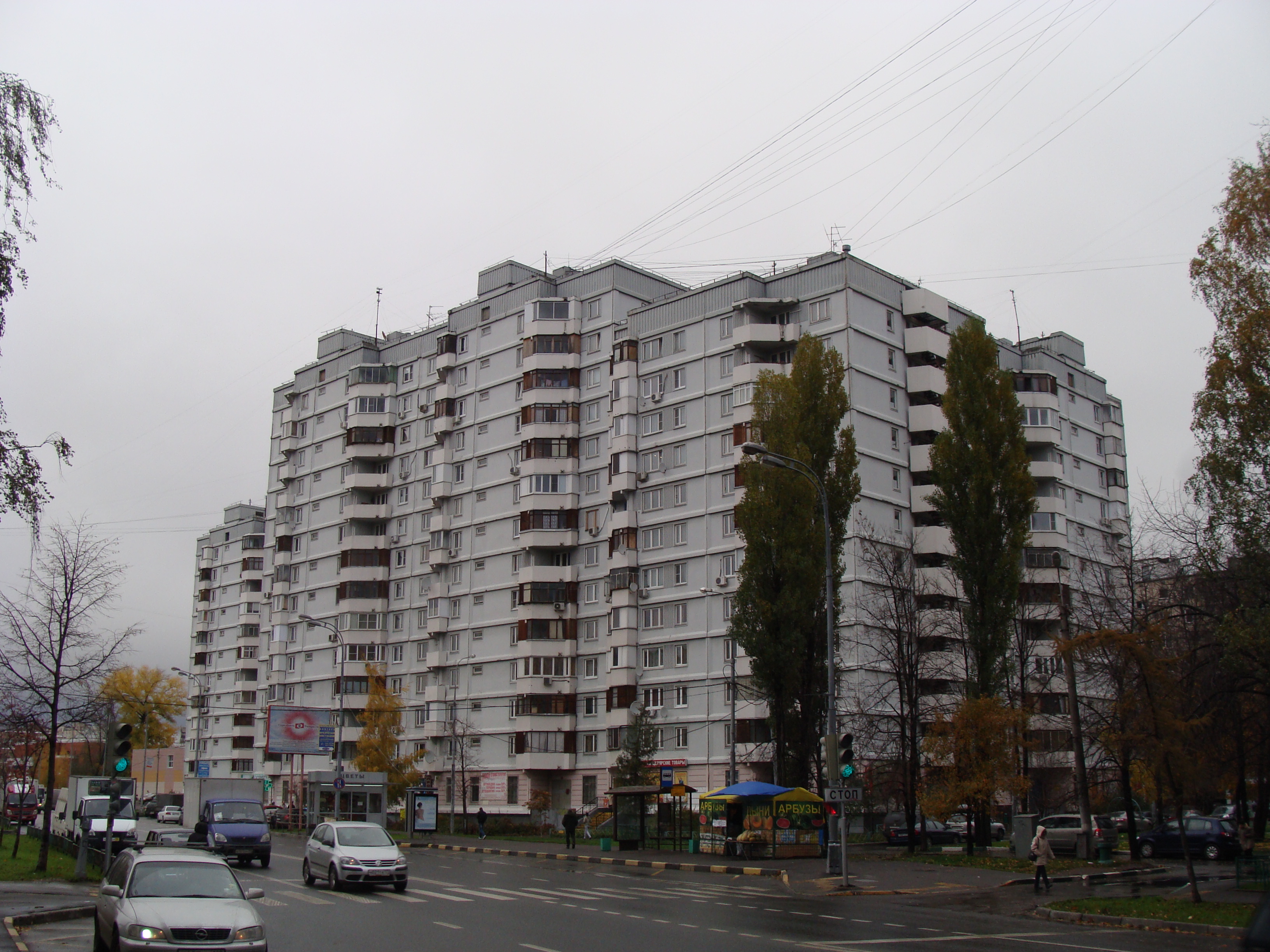 Дом 1999 года постройки