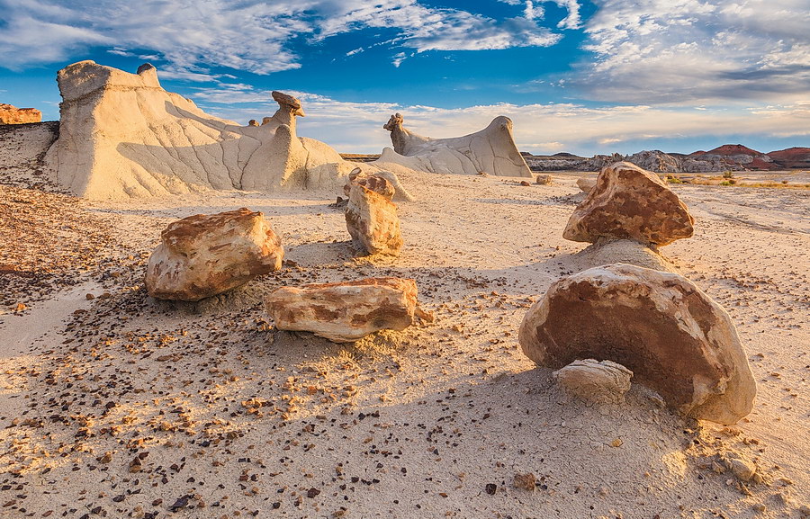 Bisti Wilderness Area