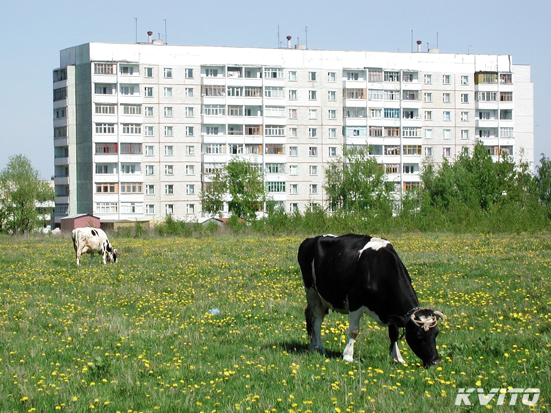 Раздольная 90 орел карта