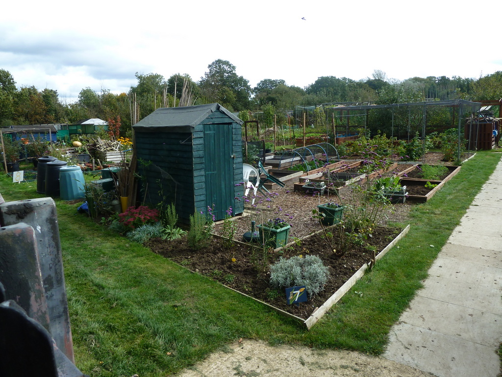 Cannon Hill Allotments - London | garden, allotment (gardening)