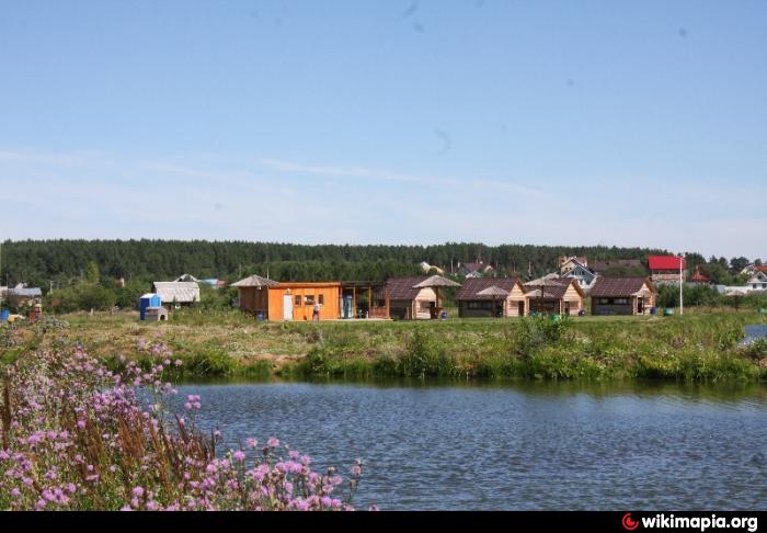 Тихие пруды. Тихие пруды Старопышминск. Пруд Суворовский Старопышминск. Тихие пруды Березовский. Старопышминск озеро.