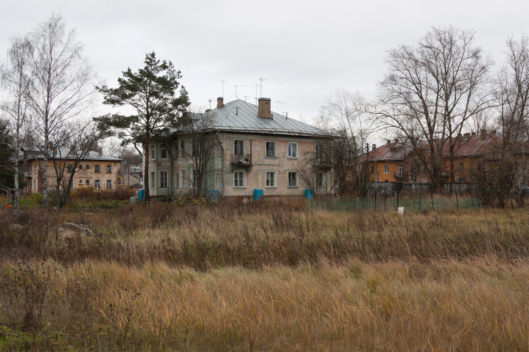 Заповедная улица. Заповедная улица Санкт-Петербург. Заповедная улица СПБ. Заповедная улица 43 СПБ. Заповедная улица дом 39 Санкт-Петербург.