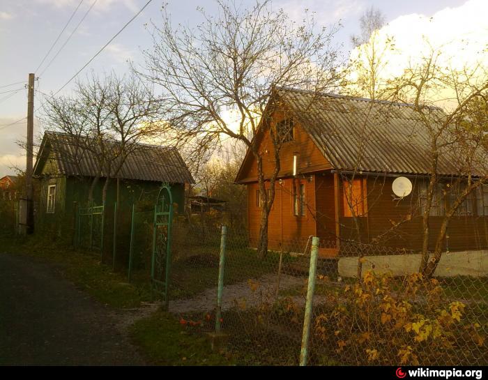 Старый участок. СНТ красная Заря Васкелово. Васкелово СНТ Электроприбор. 54 Км Васкелово. Садоводство Турбостроитель Васкелово.