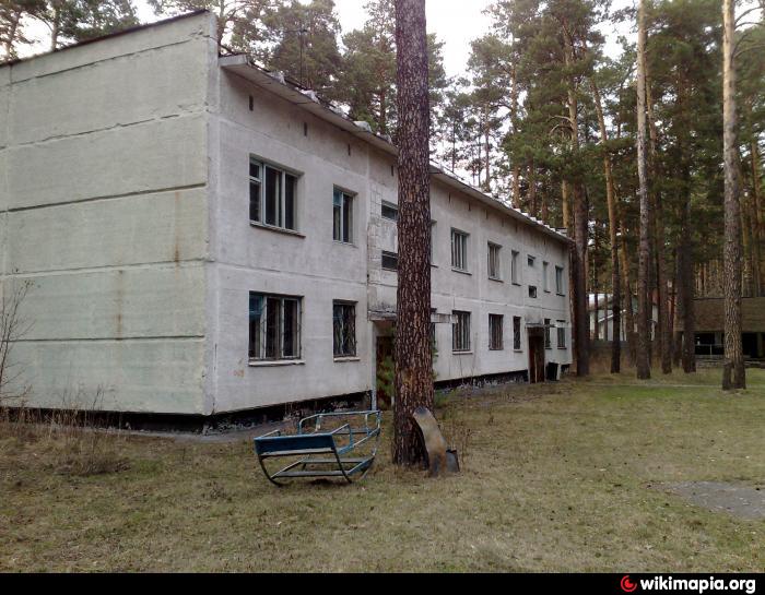 Лагерь Ласточка Нижегородская область